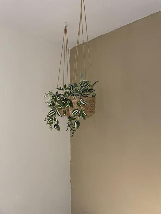Almond Home Livadia  Экстерьер фото